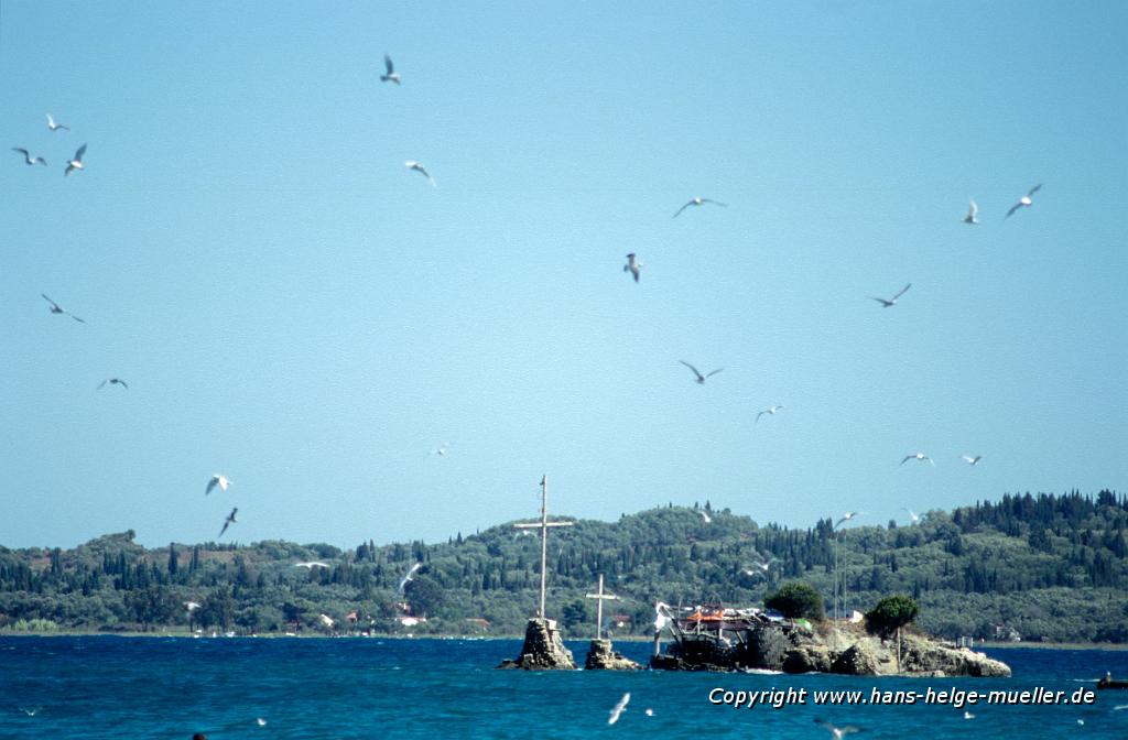 νησάκι κοντά στο Πετριτή με σμήνος γλάρων