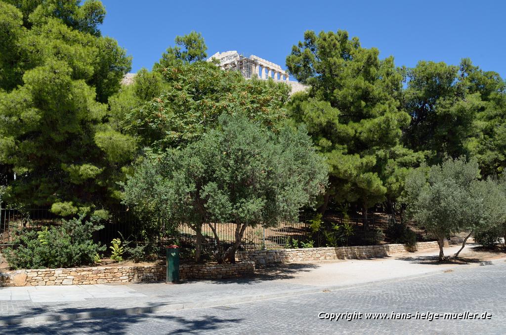 Akropolis hinter Bäumen